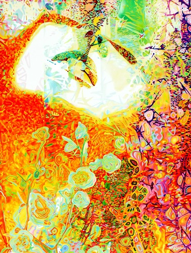 DREAM SPRING ROSE